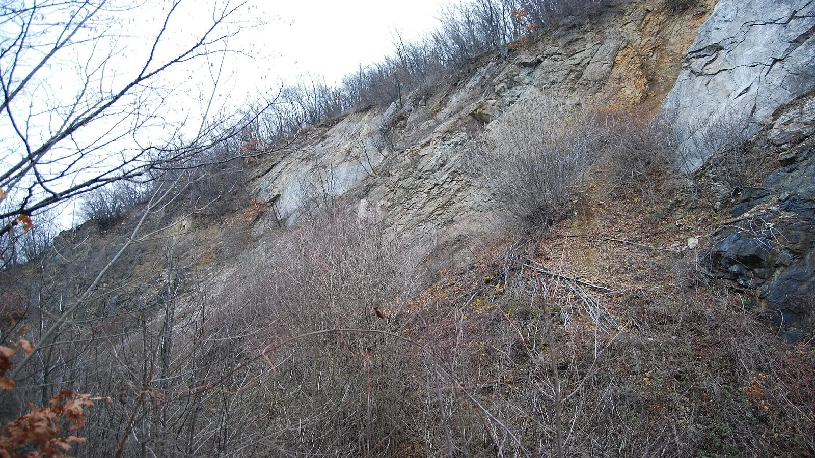 Rudna Glava